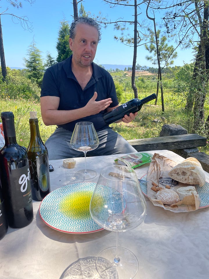 Baga vineyards Giz by Luis Gomes
