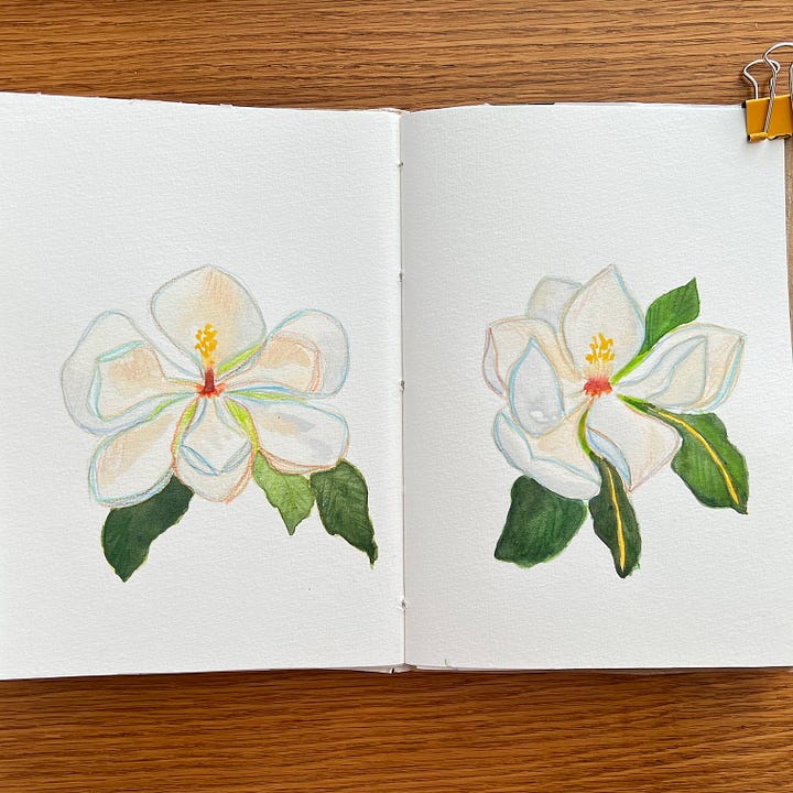 Watercolour magnolias sketches on sketchbook pages