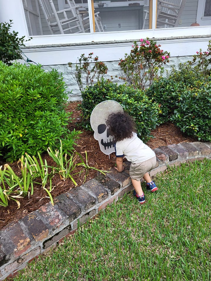 My little bun, Tito, playing with assorted skeletons throughout New Orleans