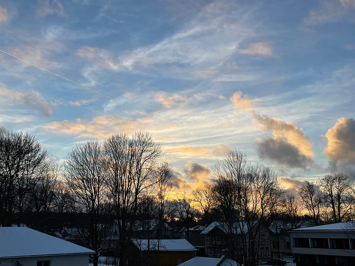 four images of the sky with the tops of trees in winter - pink sky, yellow sky, blue sky with wispy clouds, and blue with pink clouds