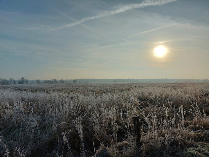 Frozen fields, sun through a milkey veil