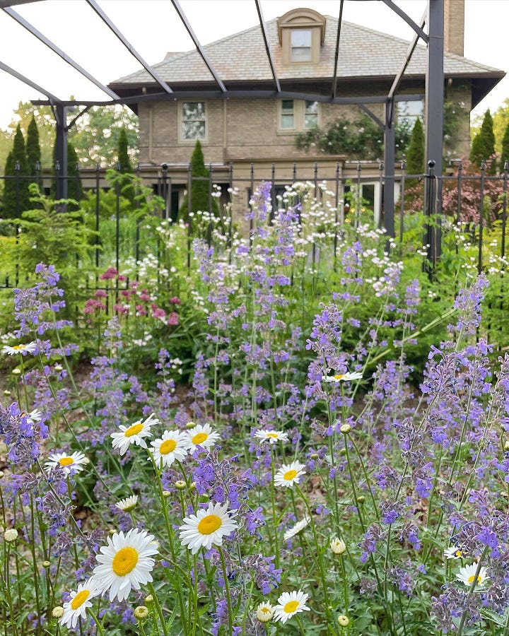 Our Cottage Garden from the curb garden: January and June