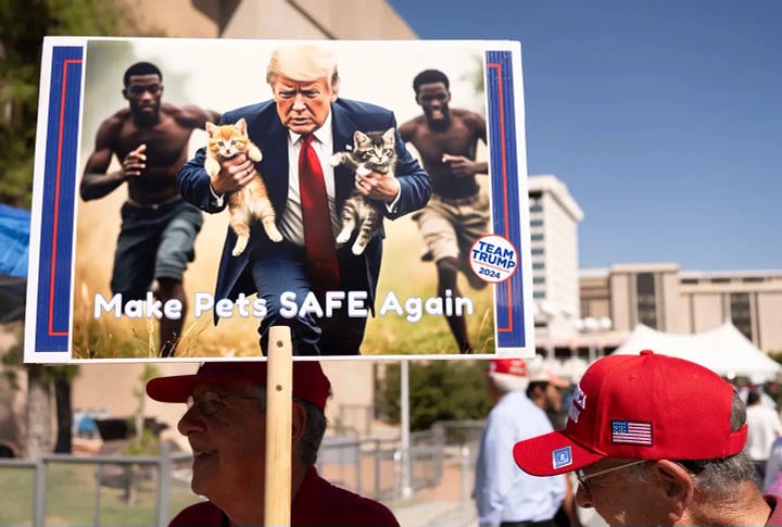 Left: AI image @realdonaldtrump via Instagram. Right: A man carries an AI-generated image of former US President and Republican presidential candidate Donald Trump carrying cats away from Haitian immigrants, a reference to falsehoods spread about Springfield, Ohio, during a campaign rally for Trump at the Tucson Music Hall in Tucson, Arizona, September 12, 2024. Photo: Rebecca Noble/AFP via Getty Images.