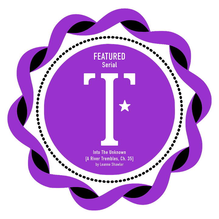 Medallions from Top in Fiction