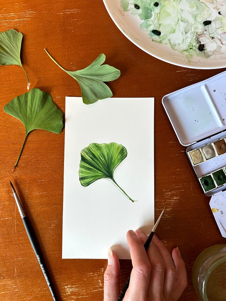 images of 4 mini paintings from top right- gardenia flowers, a gingko leaf, ruby moon hyacinth beans and fairytale eggplant