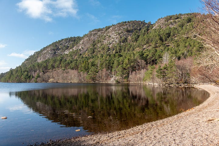 Migdale rock and loch from the shore and a bench above, the Spinningdale viewpoint and a red squirrel carving on a seat © Felicity Martin