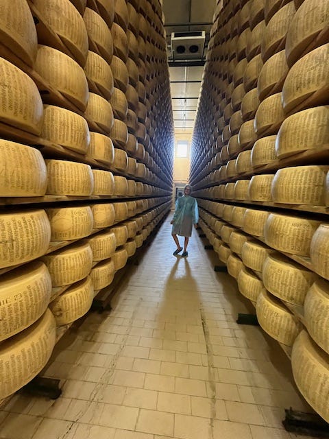 Top left: Parmigiano wheel being formed, Aged parmigiano wheel in the cantina, Me in the cantina/nursery for aging the parmigiano for a minimum of 15 months, our tasting platter with 3 aged parmigianos