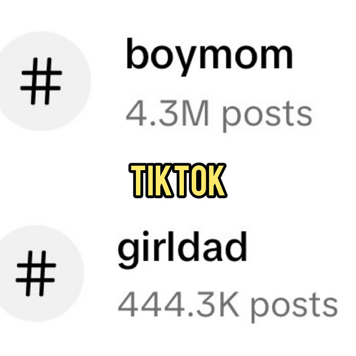 instagram and tiktok stats for hashtags boymom and girldad