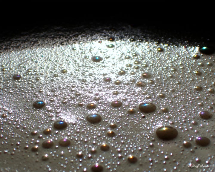 A pair of images shows: a close-up of cappuccino froth bubbles, and a cold beer nestled in a forest snowbank.