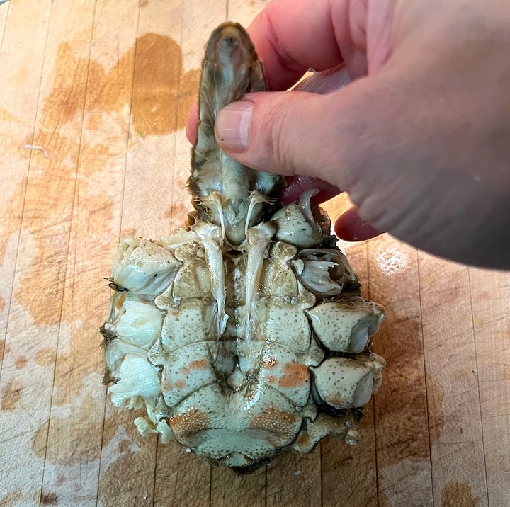 crab body prep