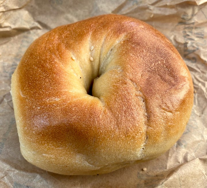 Plain bagel and everything bagel 