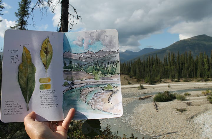 Nature Journaling — Kristin Link