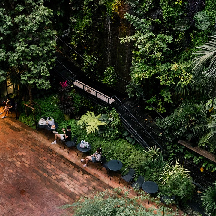 Guests relax with coffee in hand in the lush botanical garden at Victor 515. A airplane wing overhands the vintage clothing market at Chang Chiu Creative Park. 