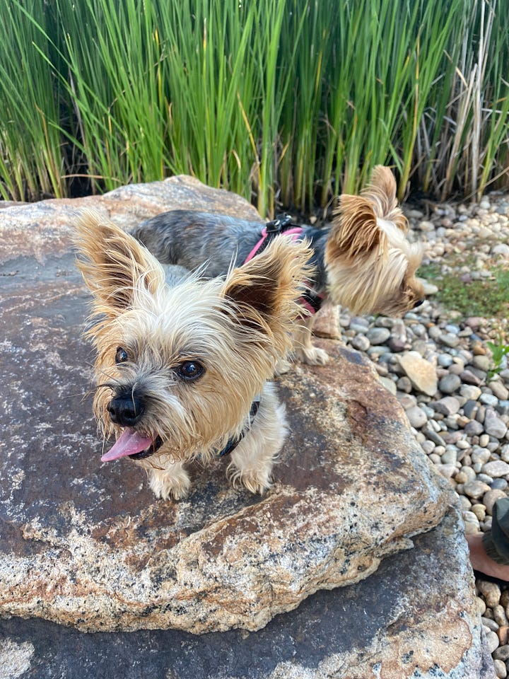Happy Rocky and Lela
