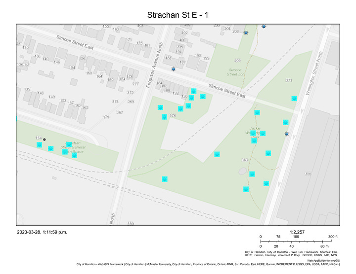 Aerial and outline maps showing the places where City staff is planning to replant trees along Strachan Street East