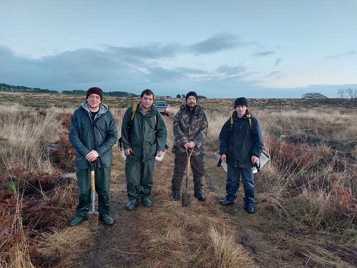 A range of photos from my planting activities at the estate back in 2022, to the present day. Can you pick out the arb planting from the forestry planting?