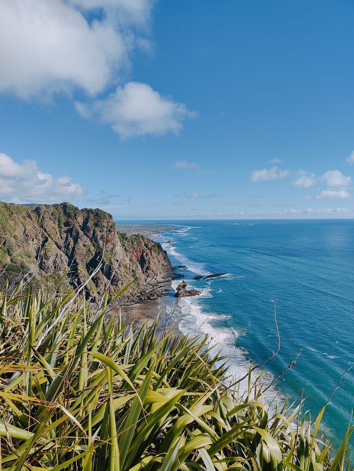 Beach, cliff and hiking scenes from the Hillary Trail, Waitākere Ranges