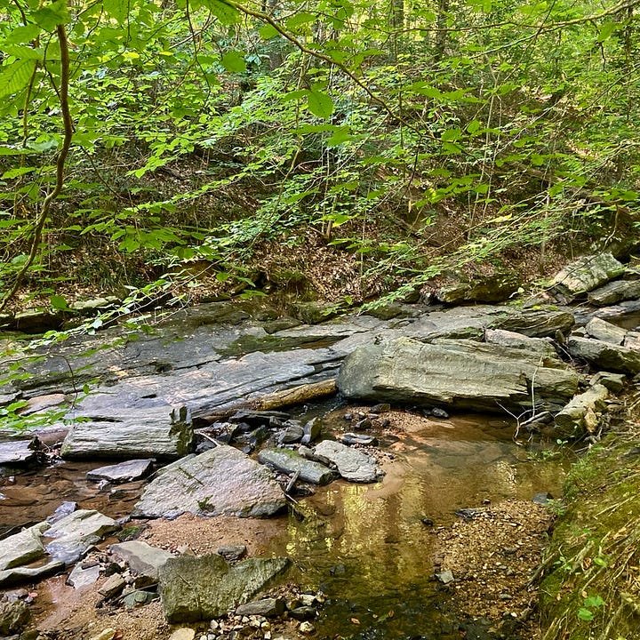 boulders in the woods, and a stream with large rocks