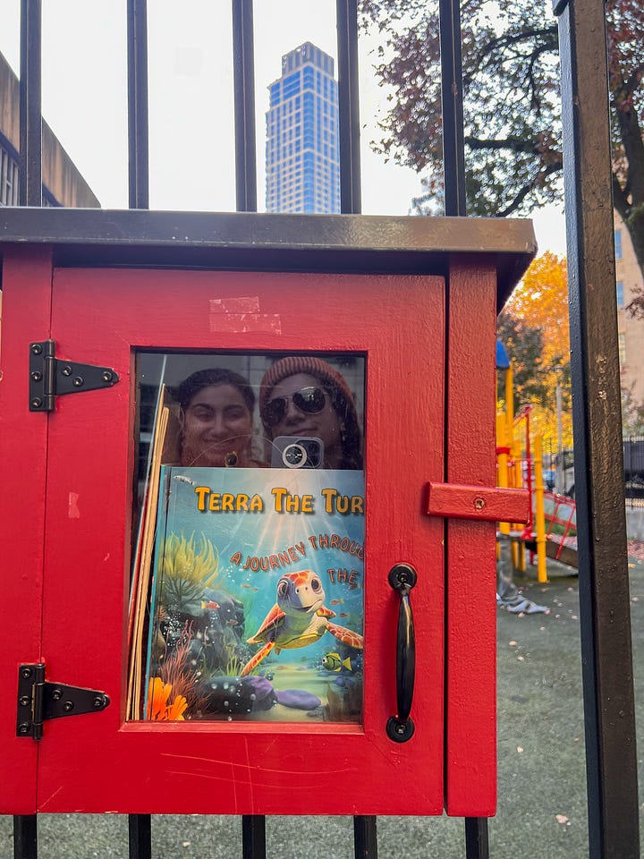 Our book in little street libraries