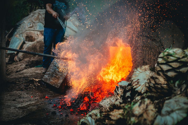 Agave hearts being cooked - photo Mary West, Unsplash. A bottle of "Illegal" mezcal, reposado in a store near my house.