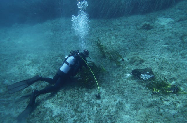 Marine Sabres researchers in Capraia, Italy in the Tuscan Archipelago