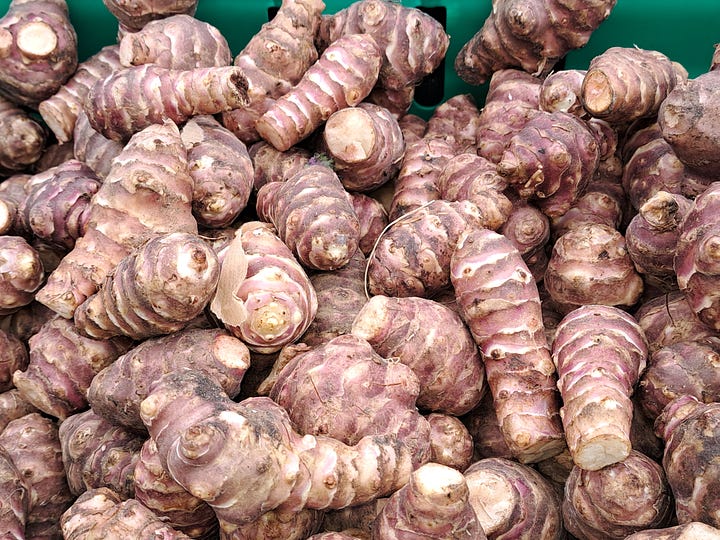 In season January; spider crabs, whelks, purple sprouting broccoli, stored apples, Jerusalem Artichokes