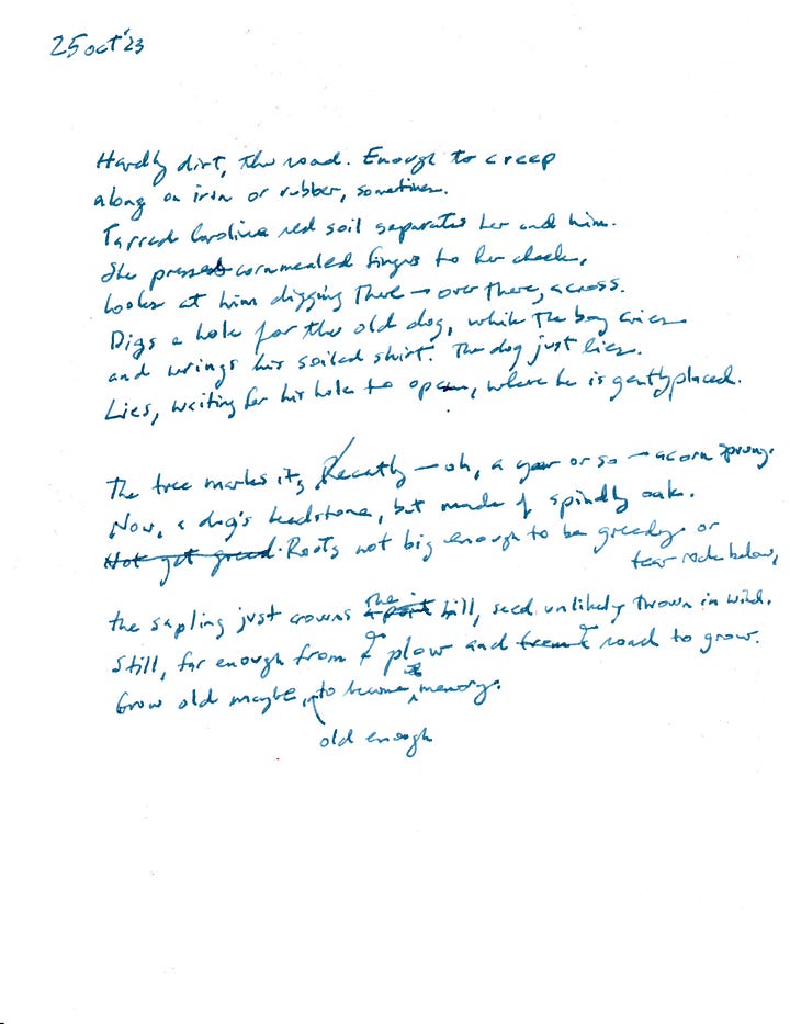 Images are notes -- brief phrases invoking an image or occurrence. Three images are devoted to three sonnets. All images are of 8.5"x11" sheets, written in ink.