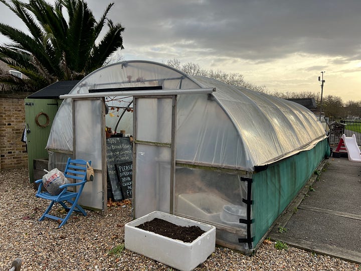 a bamboo cane storage made form a wood pallet, adding compost to plants and transferring to containers, repairing holes in the polytunnel with duct tape