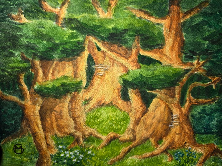 4 watercolor paintings of forests and trees inspired by the book The Hidden Life of Trees by Peter Wohlleben