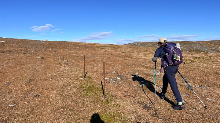 Hiking towards the line of fence posts that would lead us to the summit