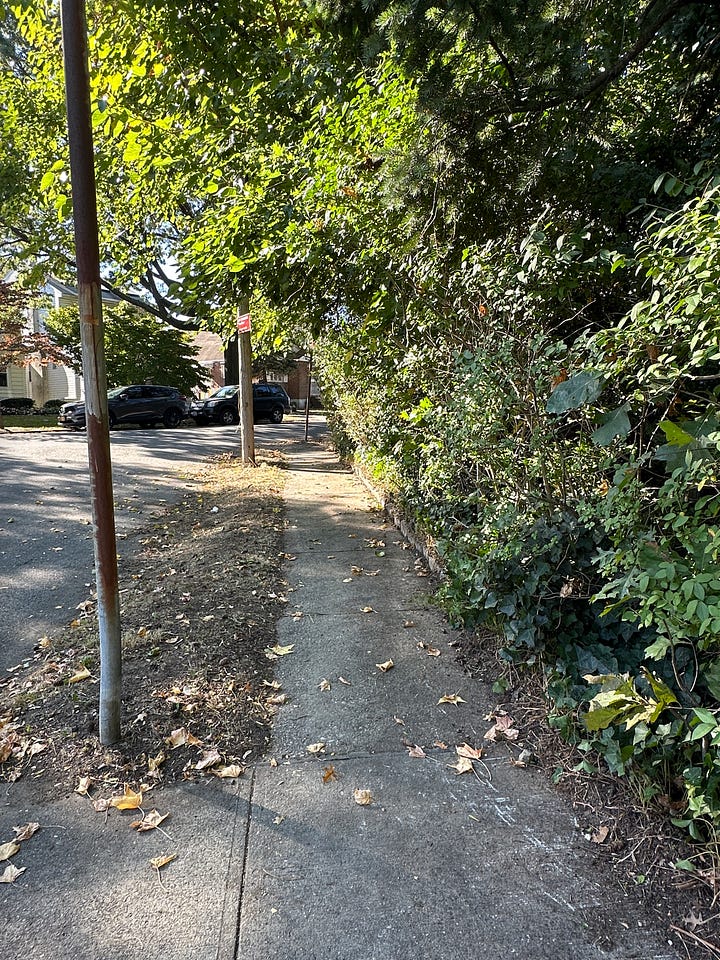 2 Sidewalks recently cleared of ivy and other debris