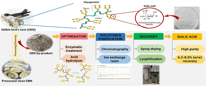 Recovery of High-Purity and High-Value Sialic Acid