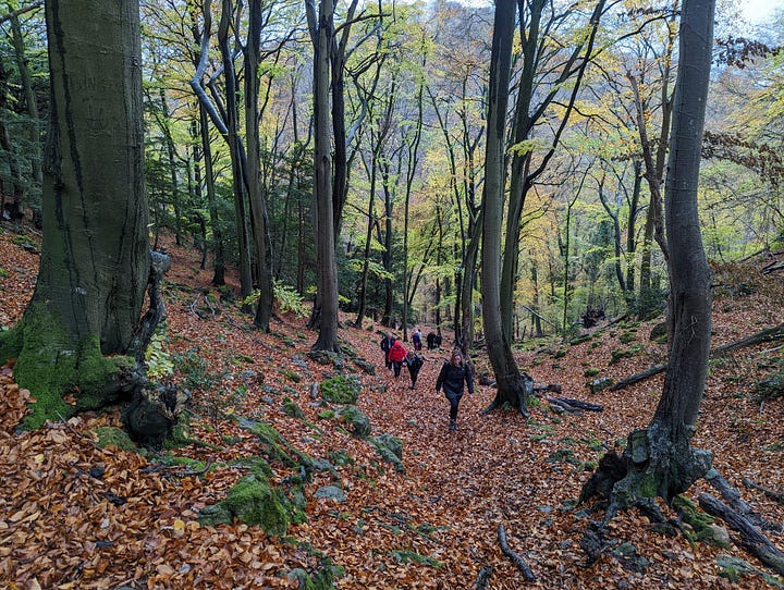 walking in the wye valley near symmonds yat