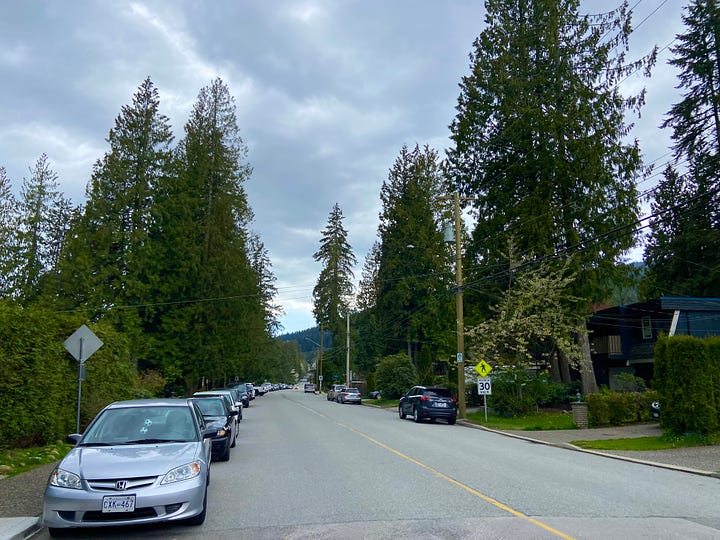 left: small, red, one-story general store; right: residential street lined with fir trees.
