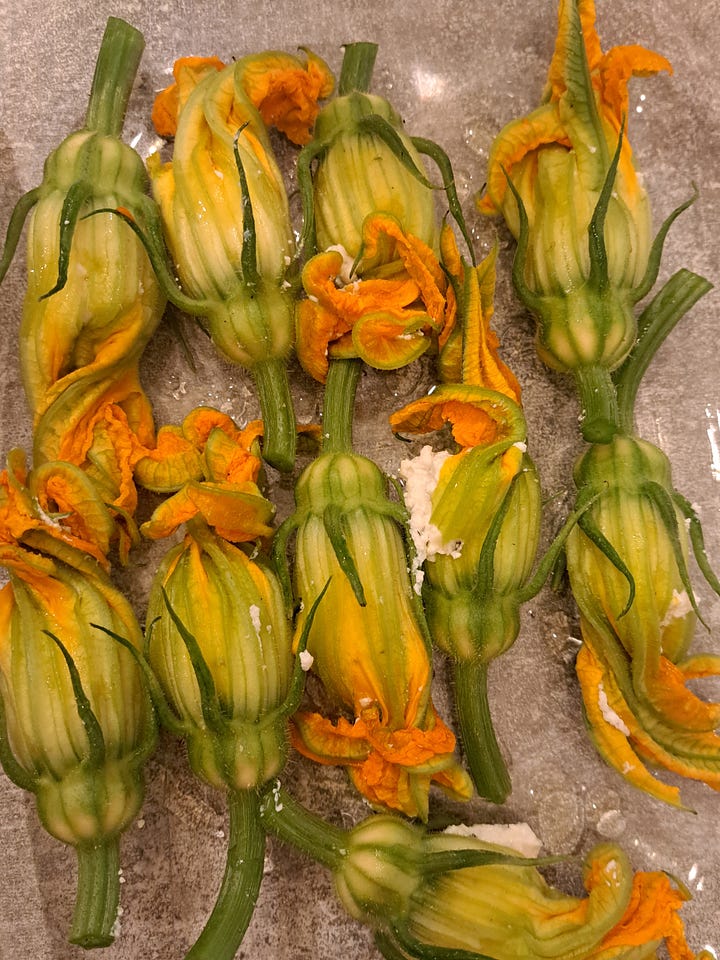 Stuffed courgette flowers