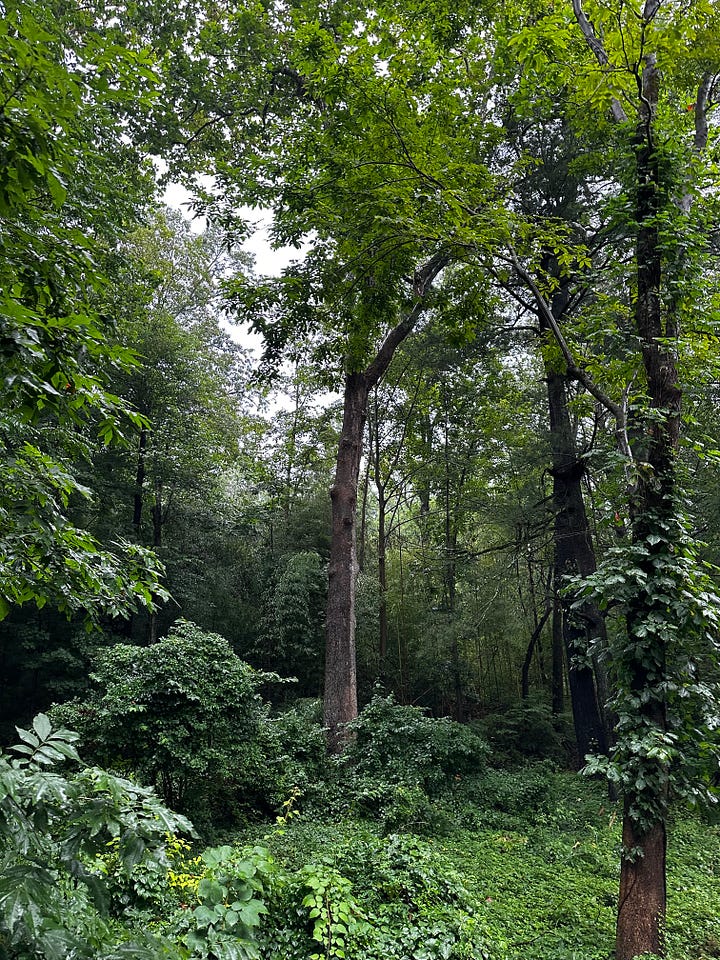 Pictures of nature in Connecticut