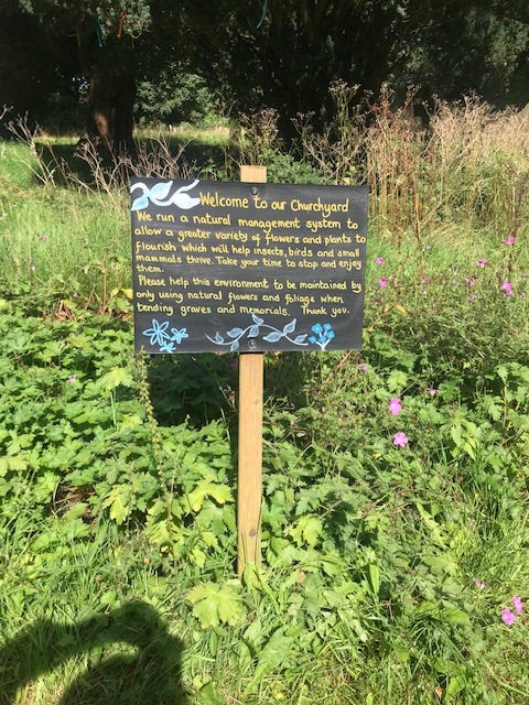 Churchyard signs in yellow text on a black background. These appear handwritten and chalked and explain the benefits of allowing wild flowers to flourish, providing food and shelter for insects and small animals. The wildflowers and shrubs are evident in the background.