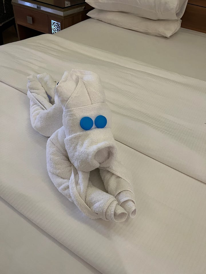 Towel Artwork in our NIle Cruise cabin