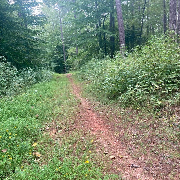 old roadway, a dirt path through the woods, and the flipped car