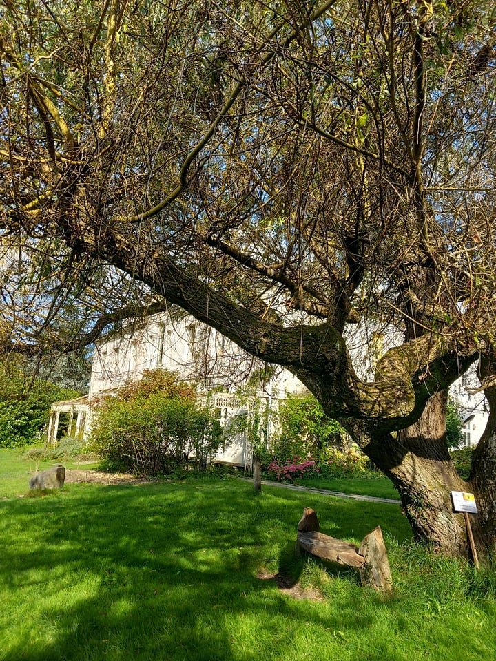 Four pictures: a wooden signpost next to a magnolia tree, a white building set in a tranquil garden and a small library.  