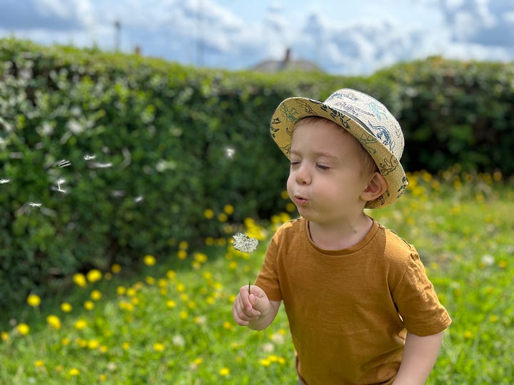 a little boy posing for the camera in photo 1 with the trunks of trees behind him. In photo 2 he is blowing a dandelion flowers and the seeds are flying through the air. Images: Roland's Travels