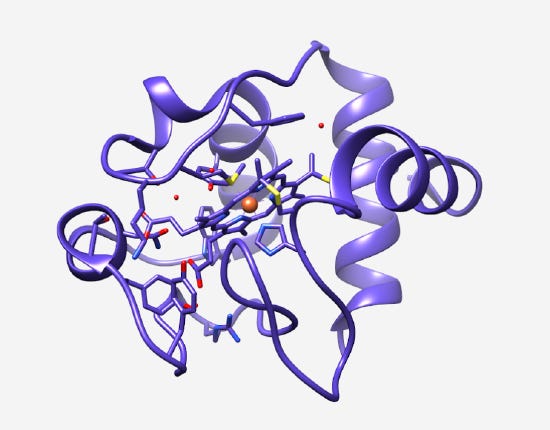 cytochrome c oxidase and heme