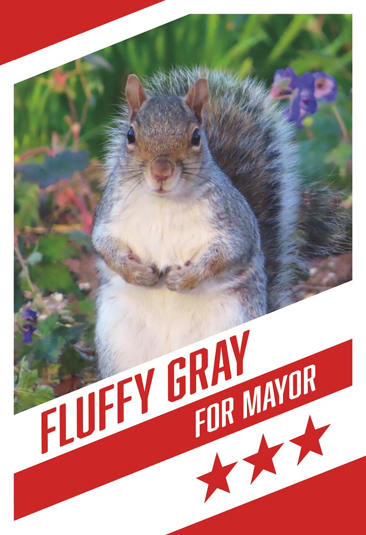 Left: Gray squirrel standing in green grass Right: Gray squirrel campaign poster 