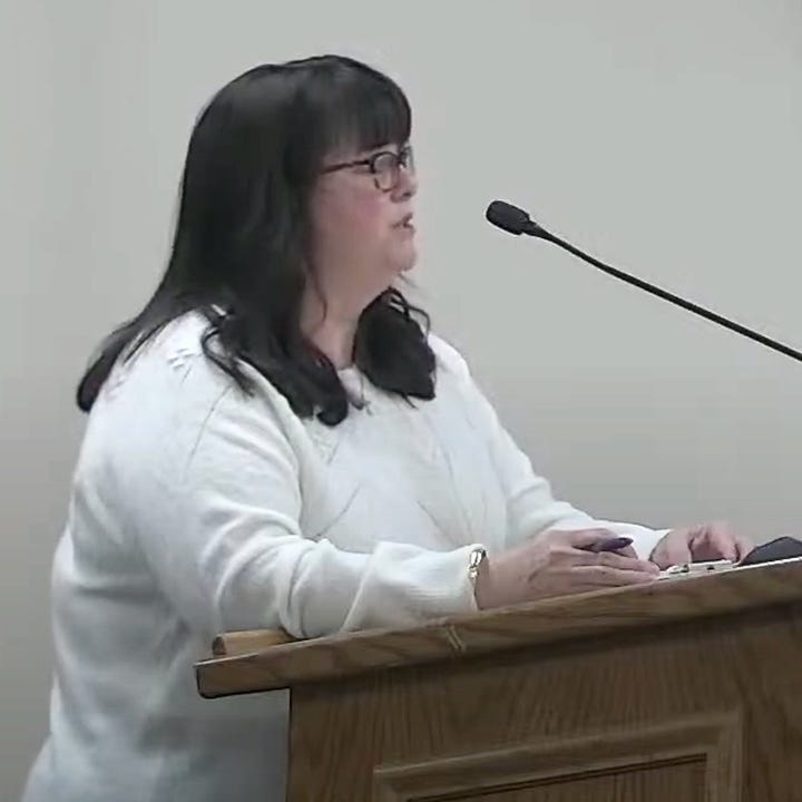 Leeanne Clarke, Delissa Chase, Nick Foley and Jen DeFalco spoke during Public Comment. (Image source: screen capture from City video)