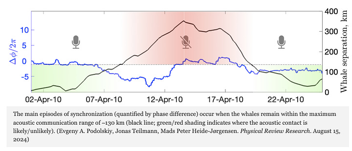 Long-Distance Relationship Revealed in the Seemingly Random Behavior of Bowhead Whales