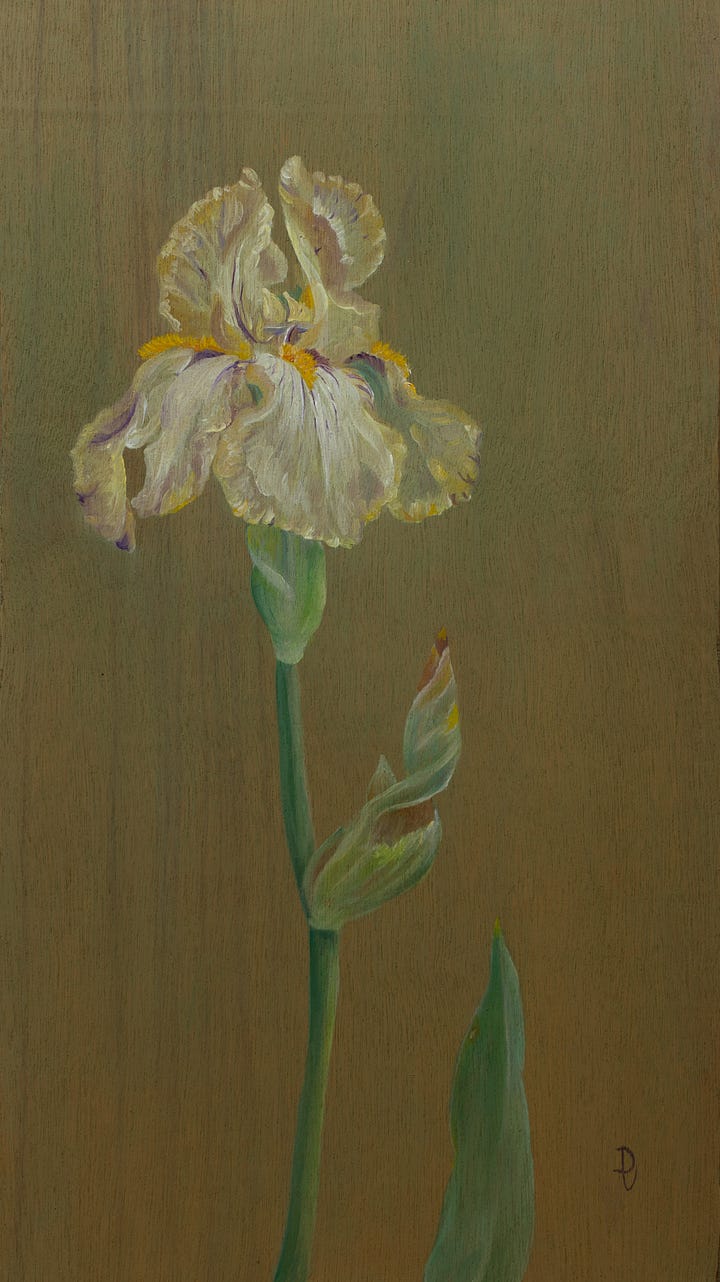 oil paintings on board of Cebric Morris Benton irises