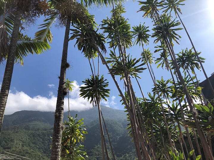 views from Isabella's home in Venezuela