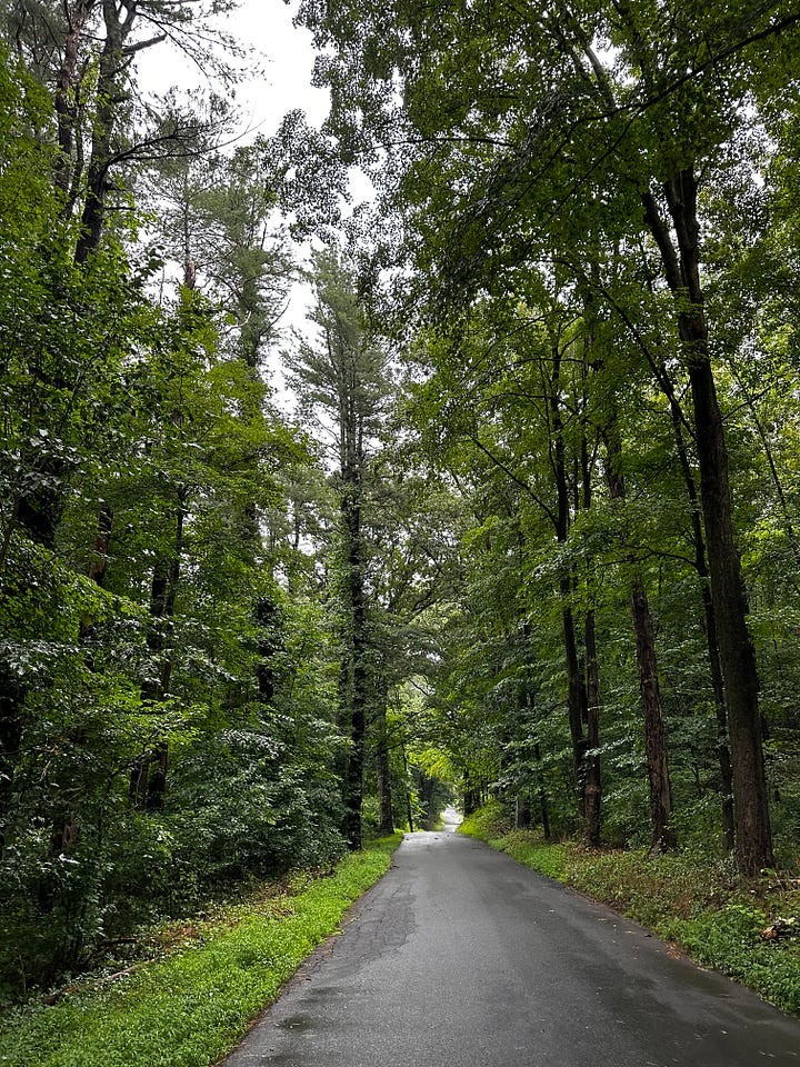 Pictures of nature in Connecticut