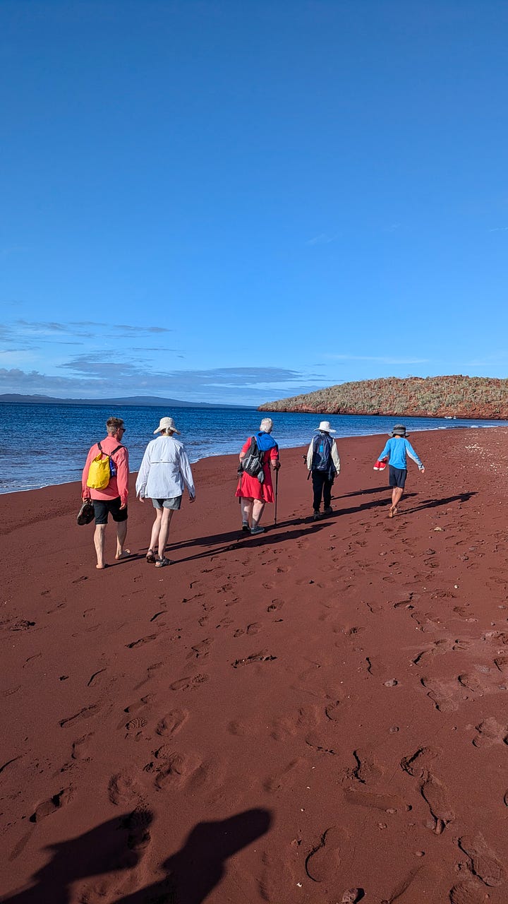 Left: giant tortoise, Juanito for scale; right: the red rock beach of Rabida