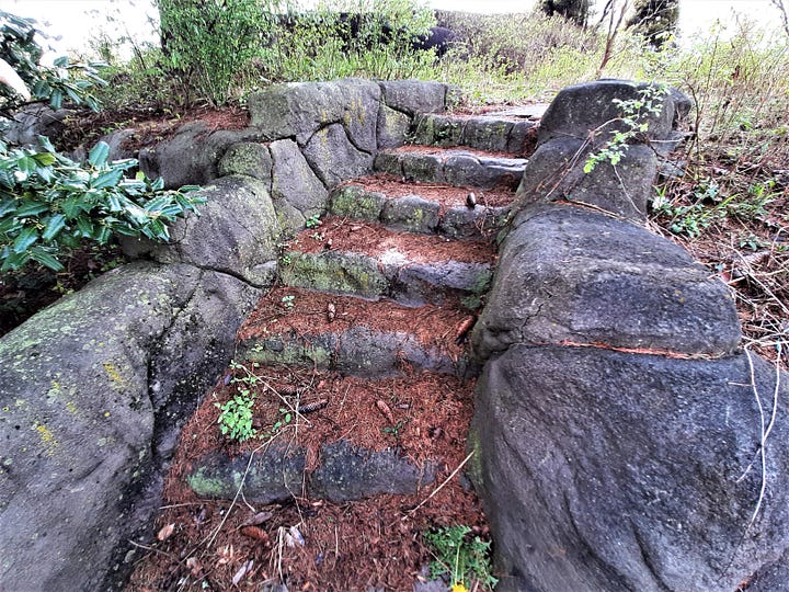Four pictures showing the old steps at the miniature golf course in Gettysburg that are overgrown with vines.